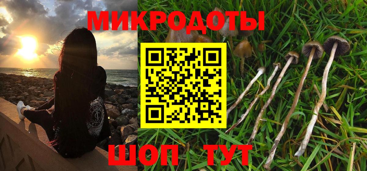 Галлюциногенные грибы прущие грибы Горячий Ключ