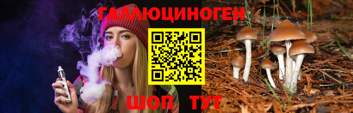 Горячий Ключ  Псилоцибиновые грибы Psilocybe  Вход с VPN  Псилоцибиновые грибы ЛСД 